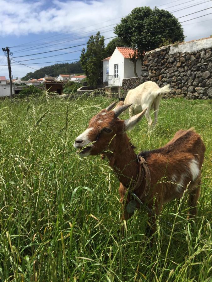 The Azores Homestead - Terceira Santa Barbara  Exteriér fotografie